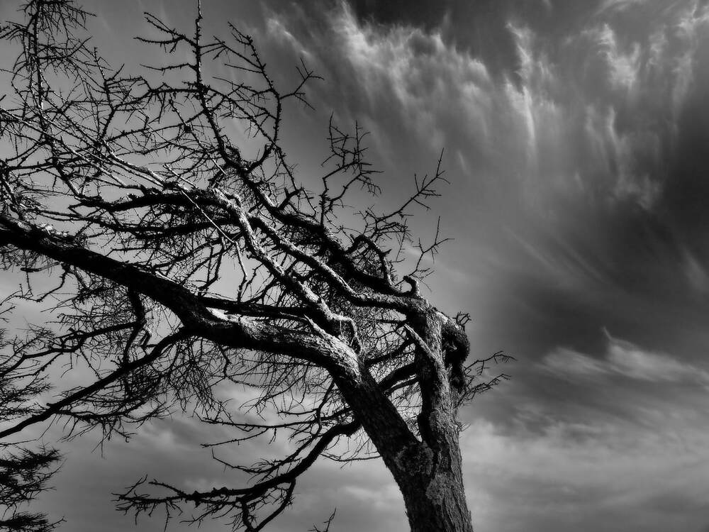 Внимание!  Копирование и распространение в интернете без разрешения автора запрещено! (смотрите, что такое авторское право).