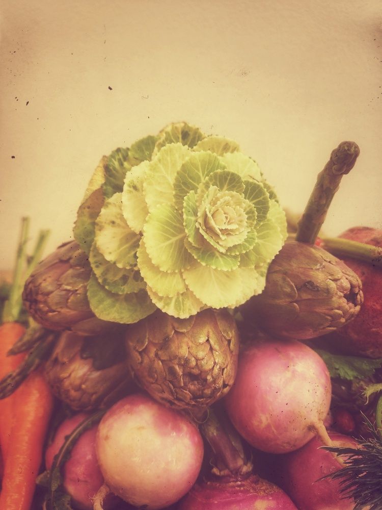 Photograph by Lera Mingova