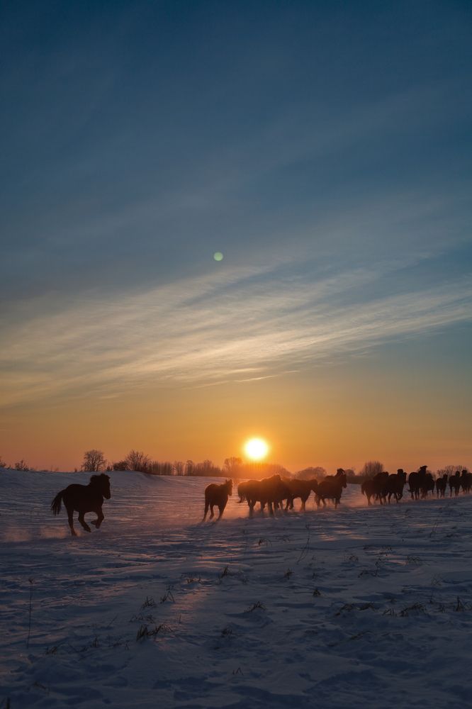 Photograph by Анна