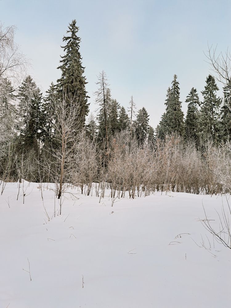 Photograph by Светлана Яковлева