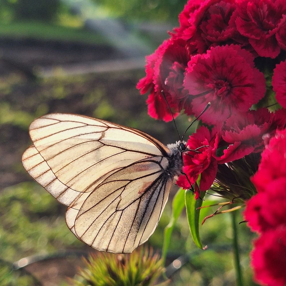 Photograph by Анна