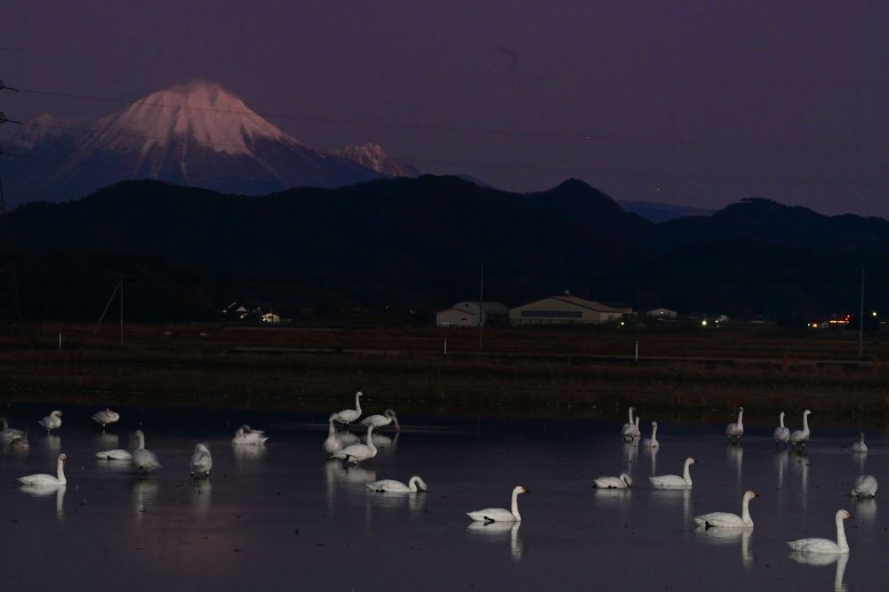Photograph by Ohta Sigeki