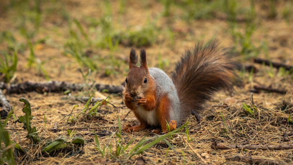Photograph by Бравичева Анастасия