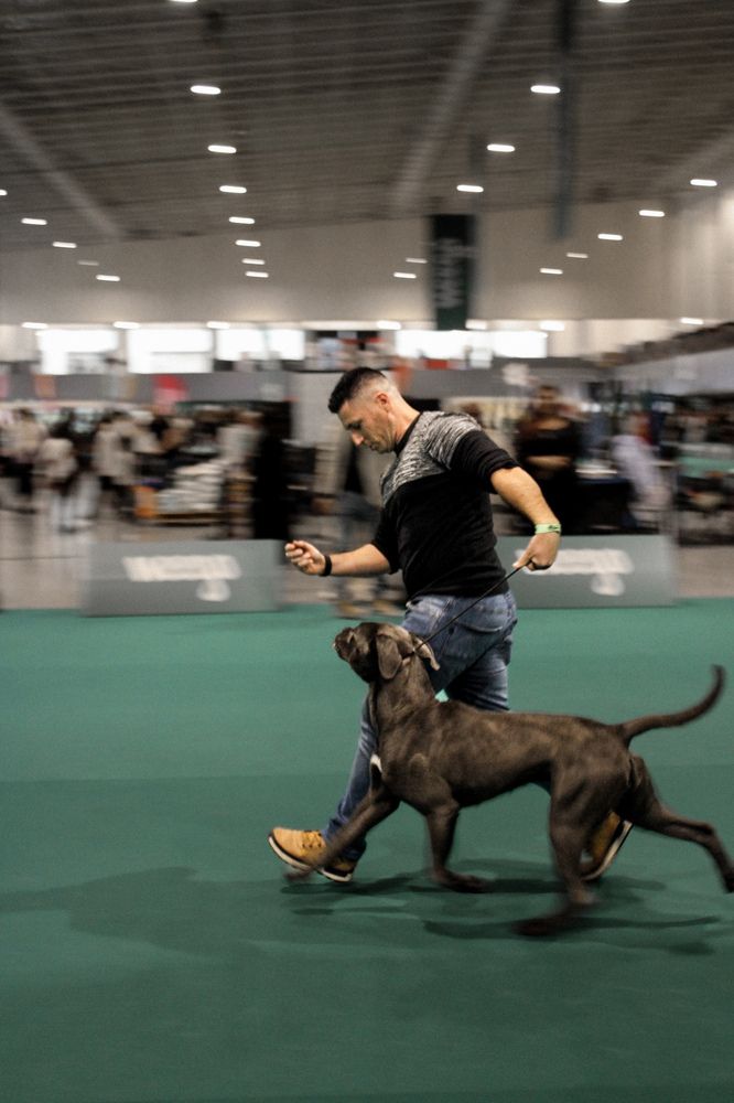 Photograph by Mónica Ramires