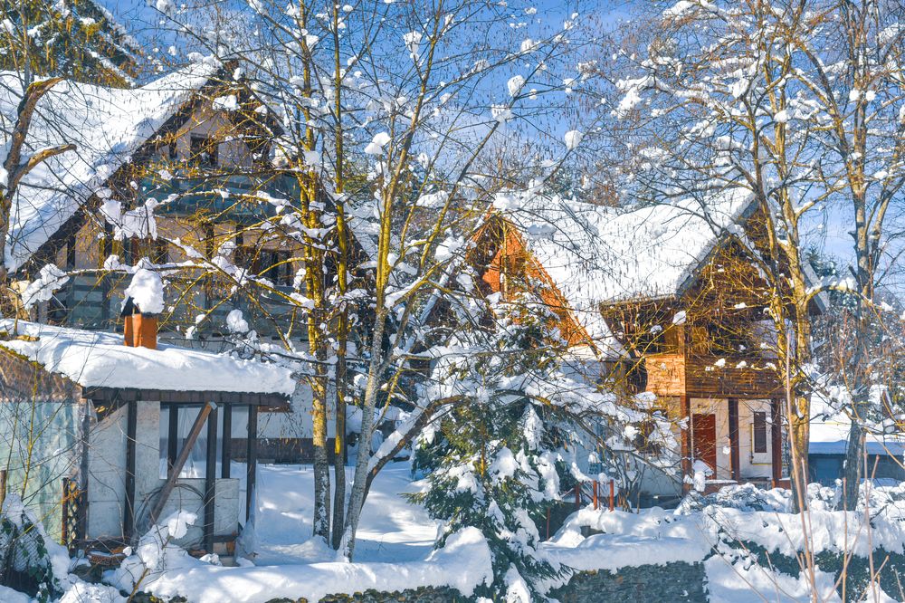 Фотография автора Leompescu Emanuel