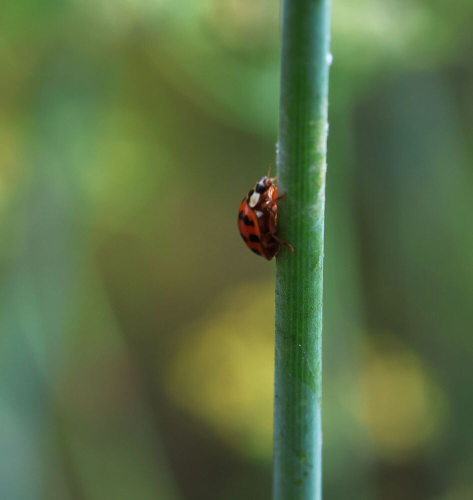 Photograph by Merav Zuberman Perkal