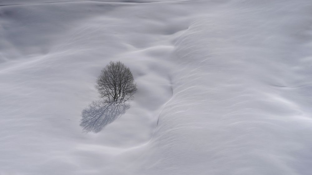 Photograph by David Pipia