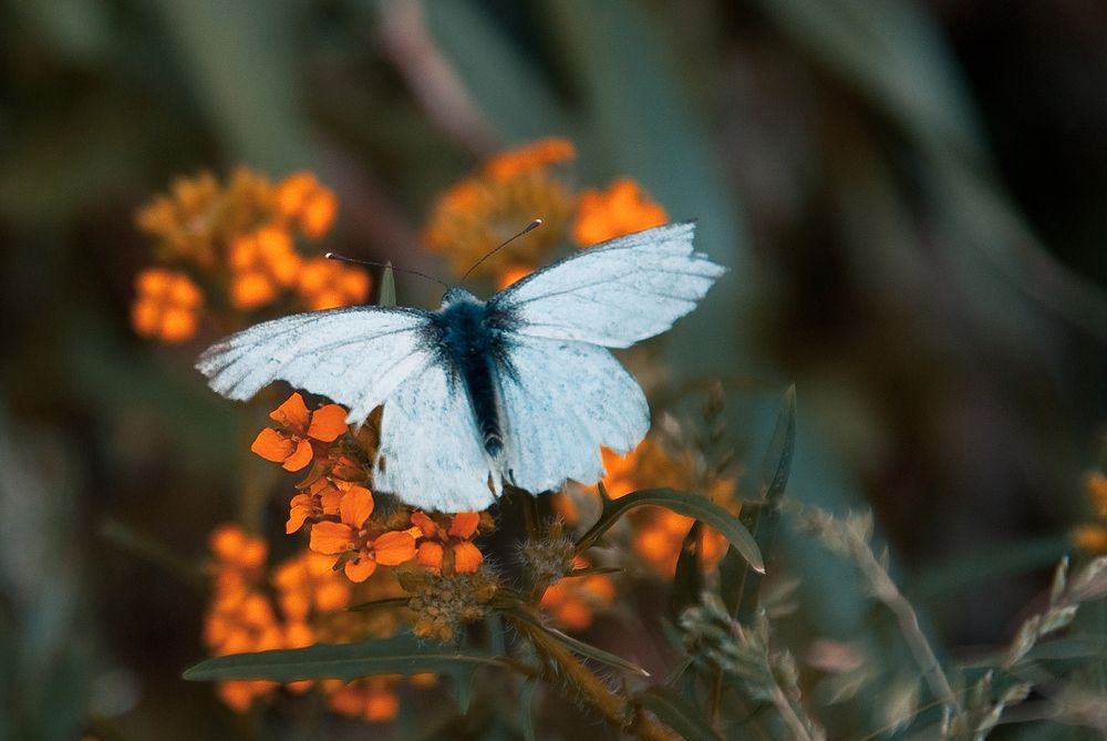 Photograph by Светлана Прокофьева