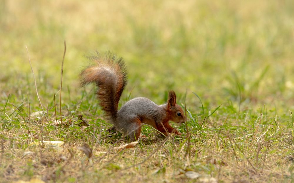 Photograph by Бравичева Анастасия