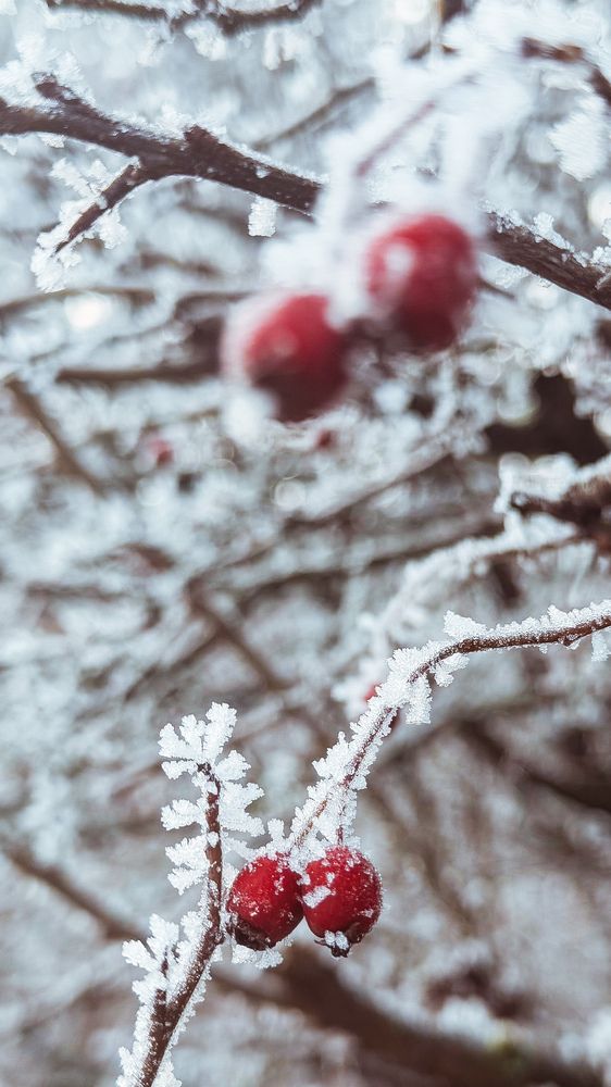 Photograph by Ольга Белостоцкая