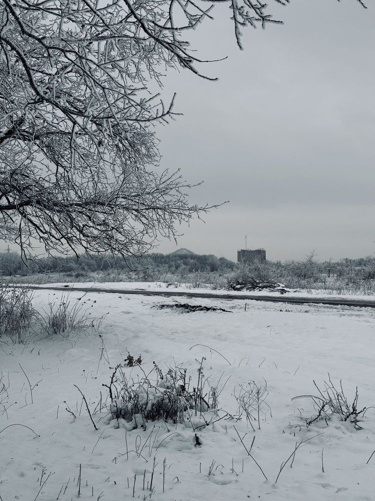 Photograph by Светлана Димитриенко