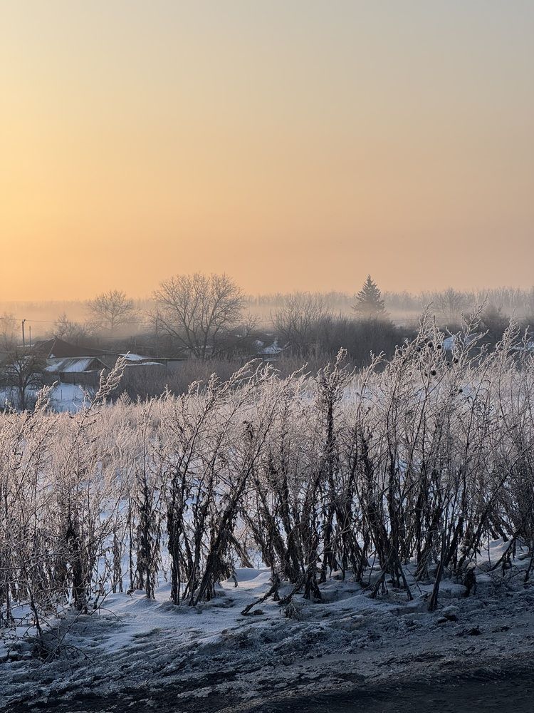 Photograph by Светлана Димитриенко