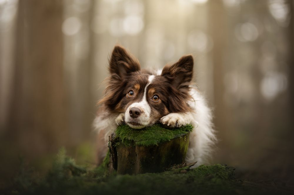 Фотография автора Lenne