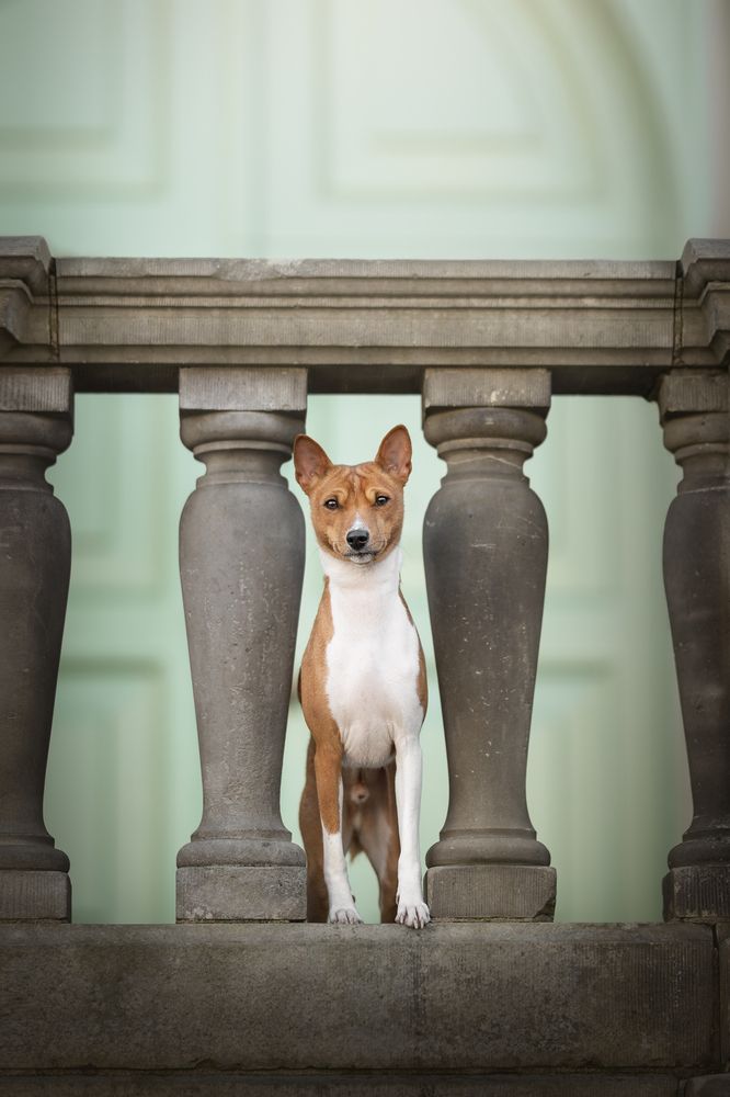 Фотография автора Lenne