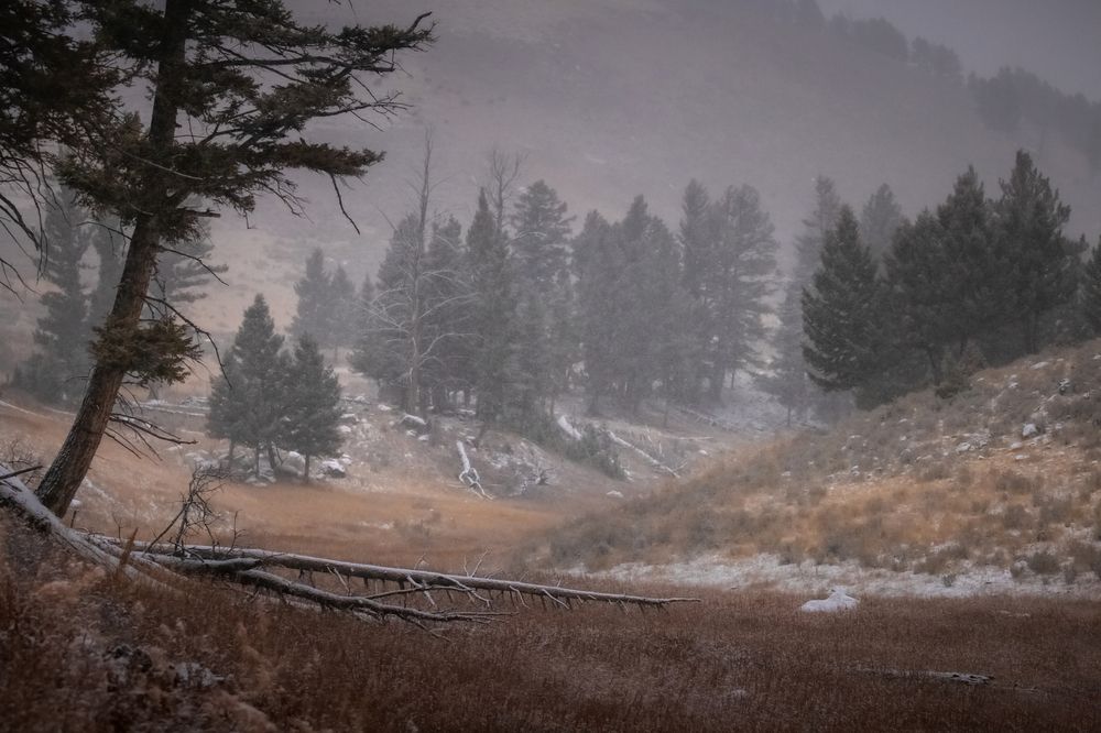 Фотография автора Bevzenko Roman