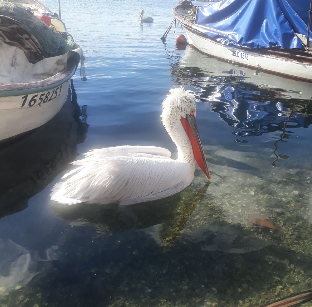 Photograph by Gülçin Çete