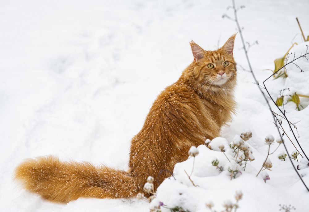 Photograph by NADEZHDA PELYMSKAIA