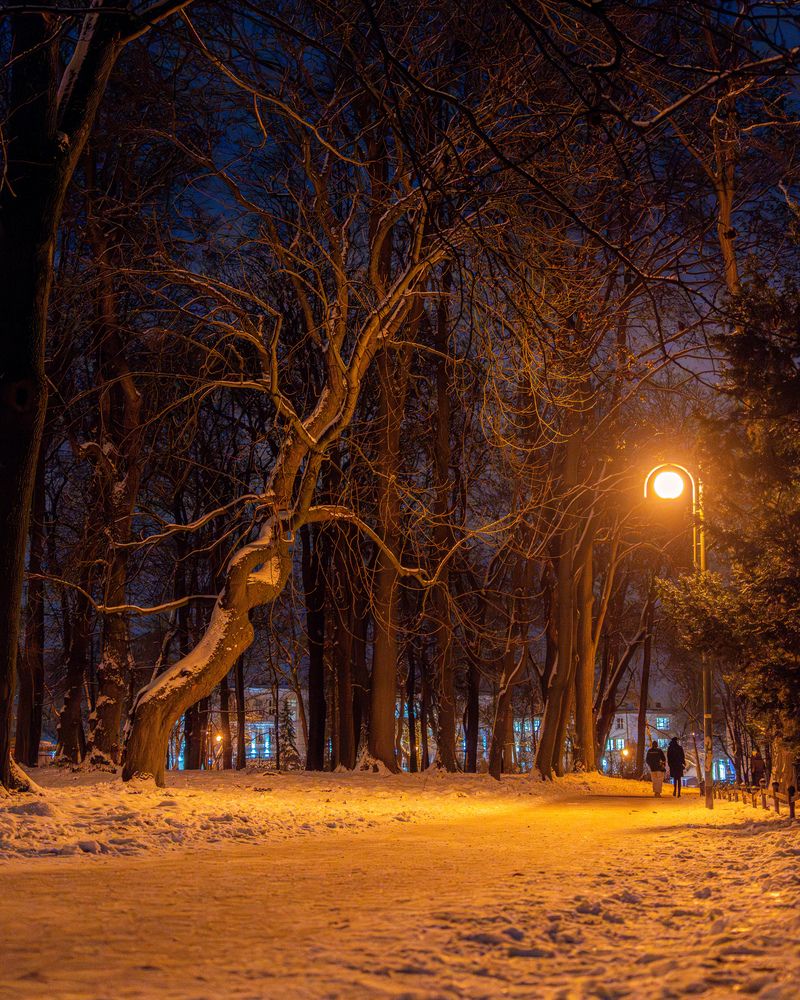 Photograph by Anton Leonchikov