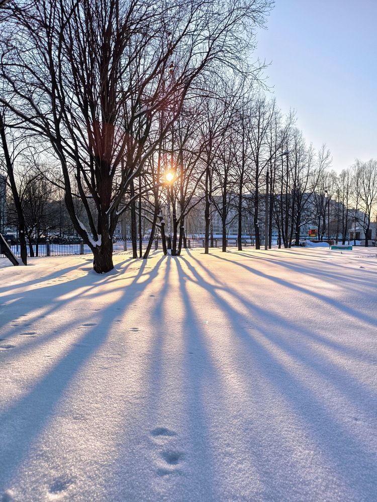 Photograph by Ирина Ященко