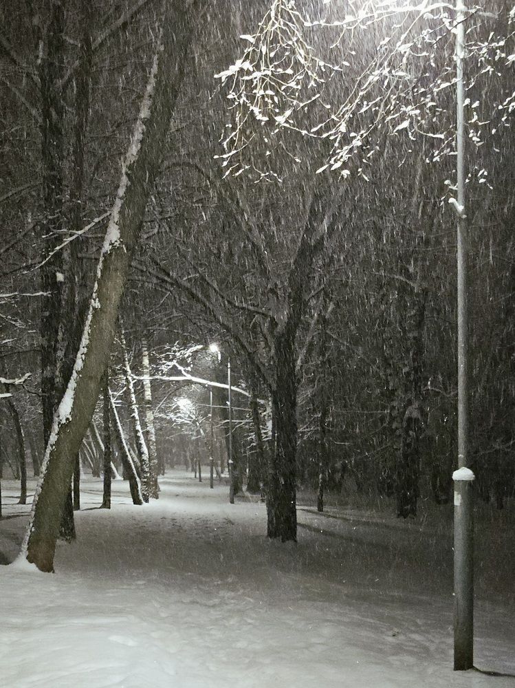 Photograph by Владимир