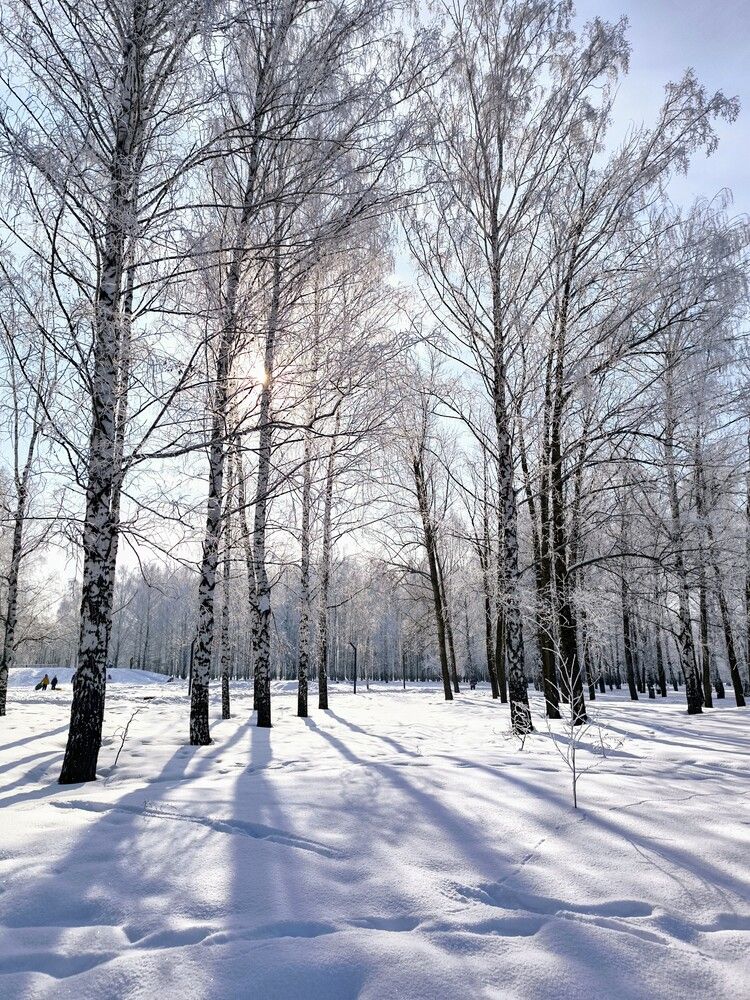 Photograph by Ирина Ященко