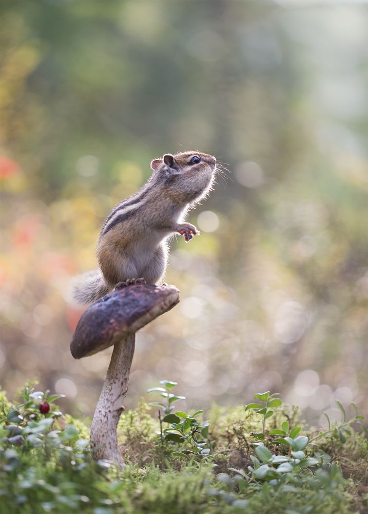 Photograph by Евгения Левина