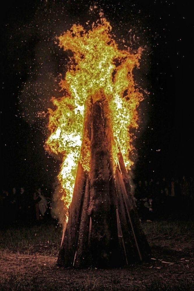 Фотография автора Александр Черепанов