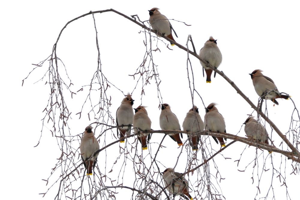 Photograph by Алексей Курносов