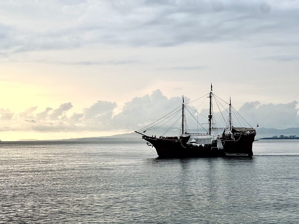 Фотография автора Татьяна Мичу-Николаевич