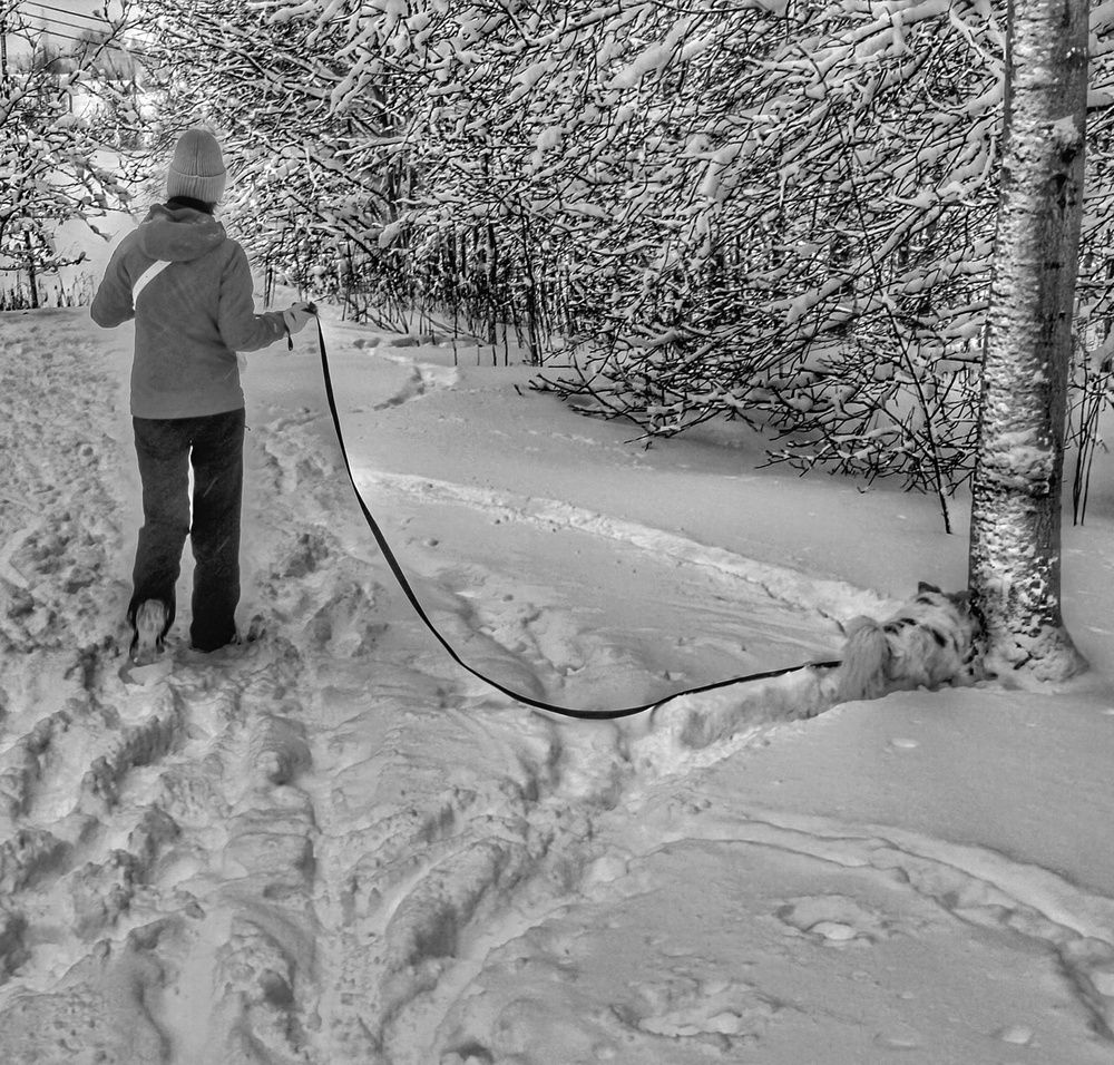 Наслаждение зимой!