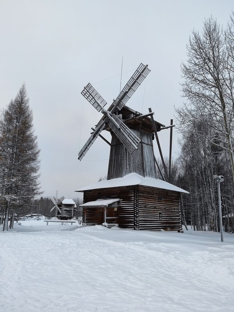 Photograph by Елена Белькова