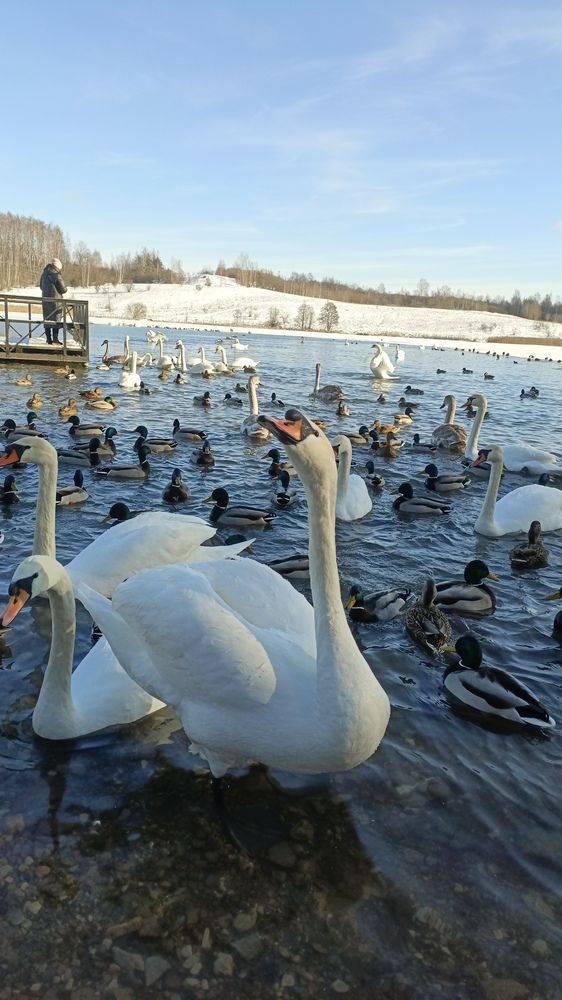 Photograph by Николай Наумов