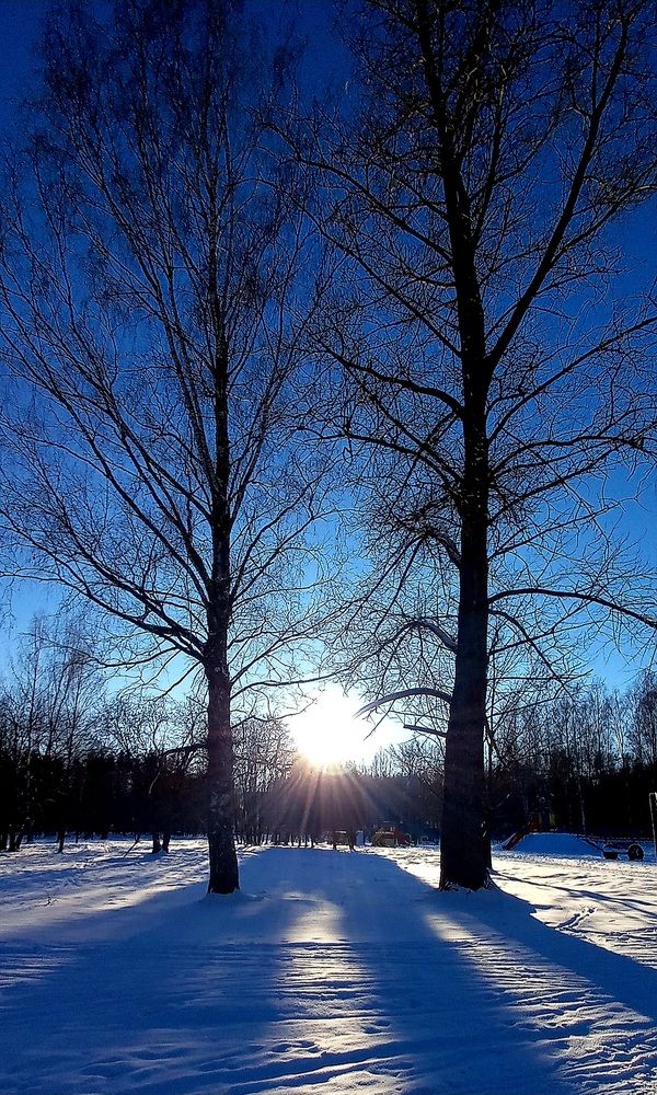 Photograph by Елена Воронова