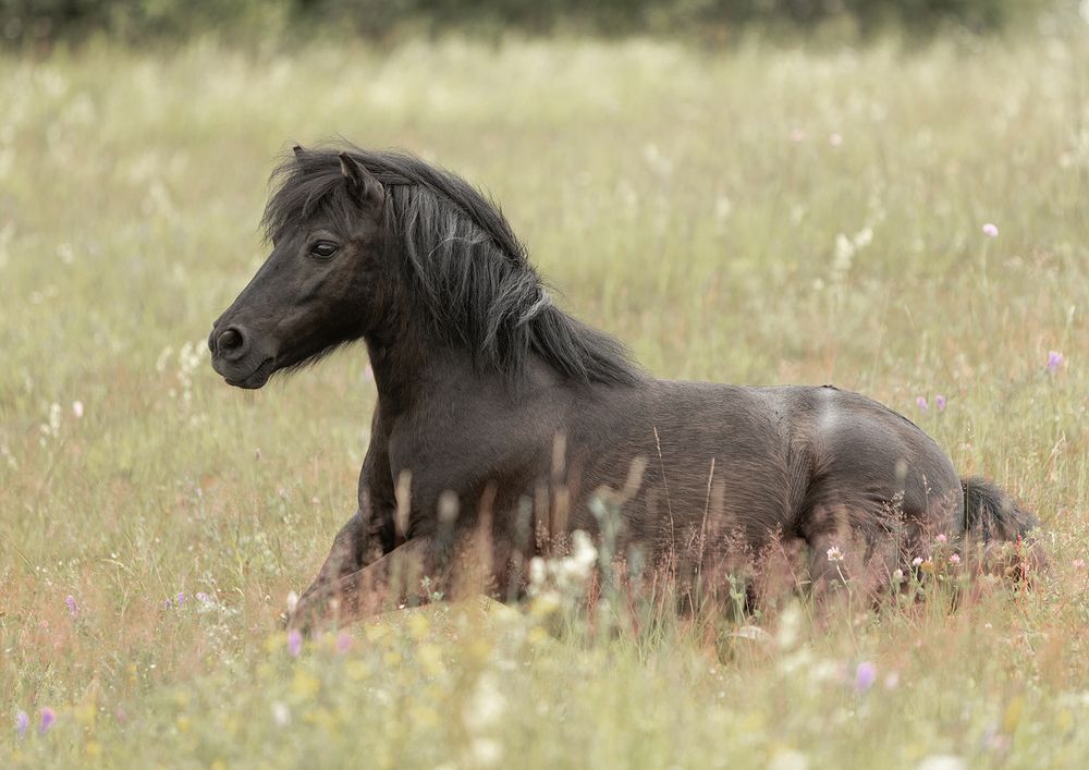 Photograph by Марина