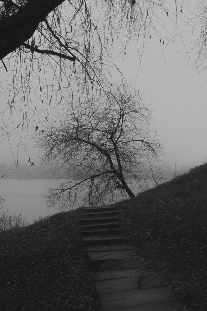 Photograph by Nikita Ostarkov