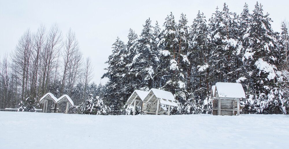 Фотография автора Екатерина Счасная