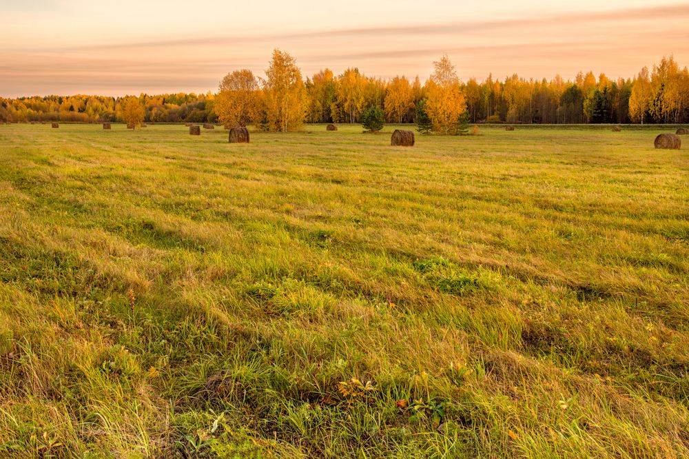 Photograph by  Максим