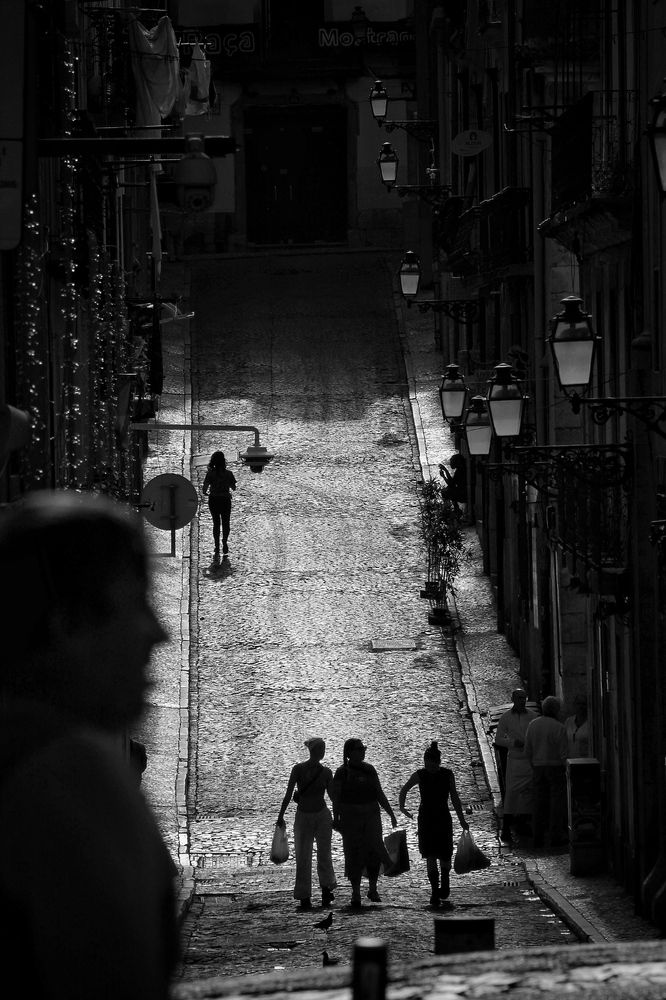 Photograph by Alexander Siemens