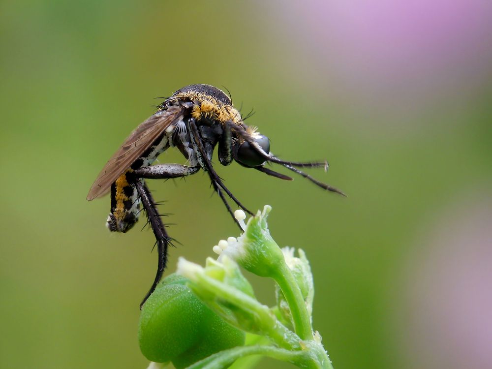 Photograph by Joko Prayitno