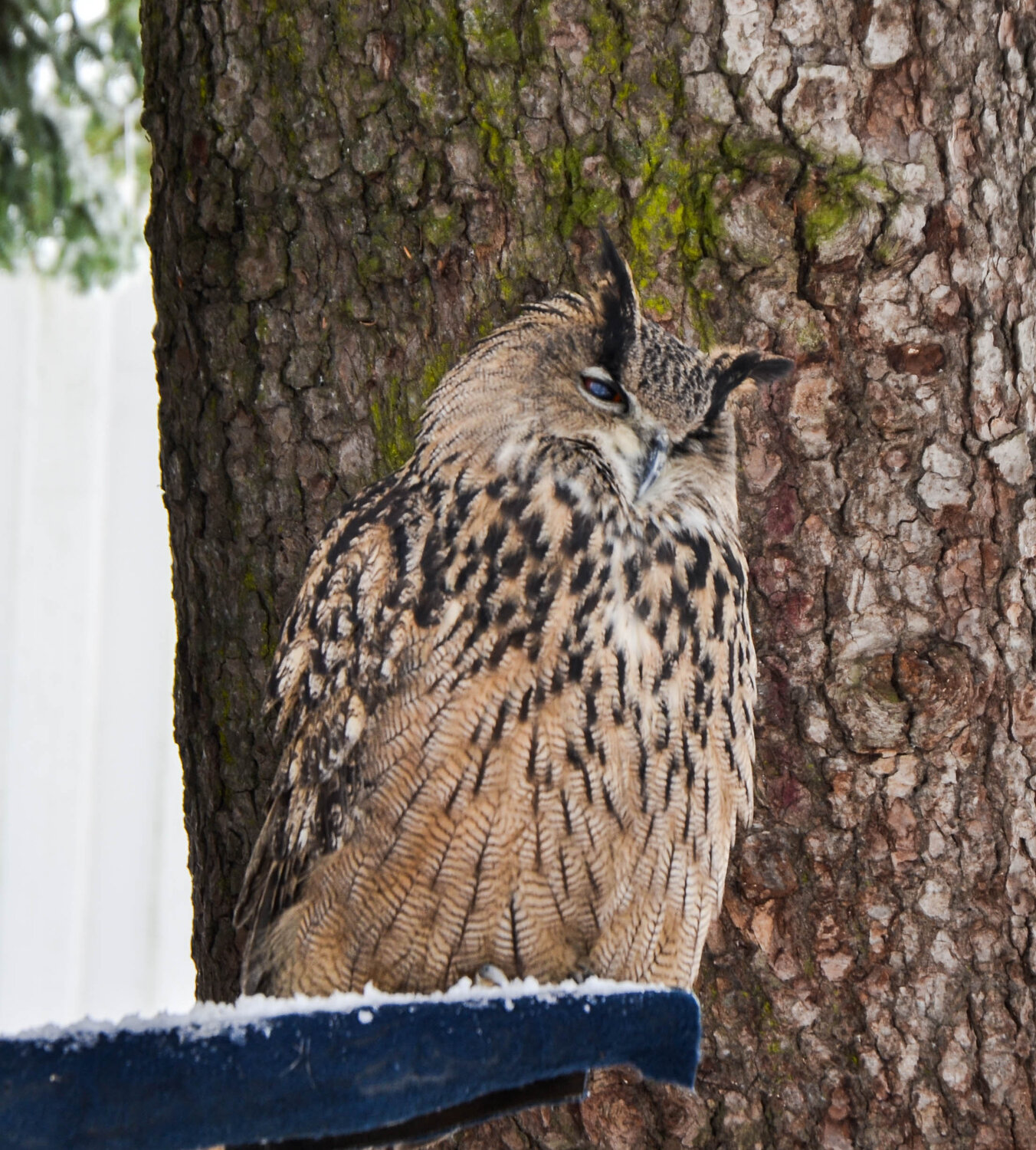 Photo #11956523