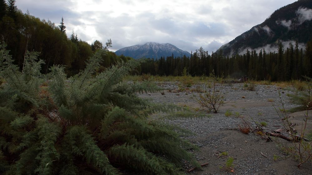 Photograph by Александр Полюдов