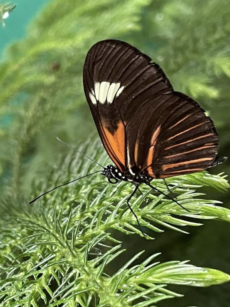 Фотография автора Olga Andriuc