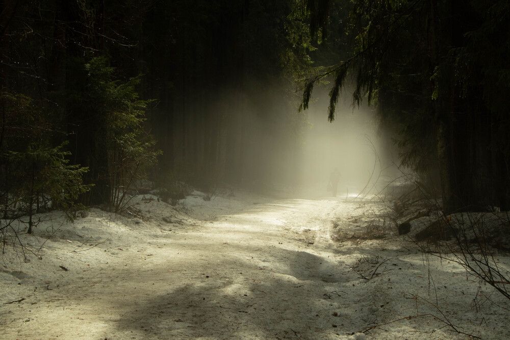 Фотография автора Екатерина Счасная