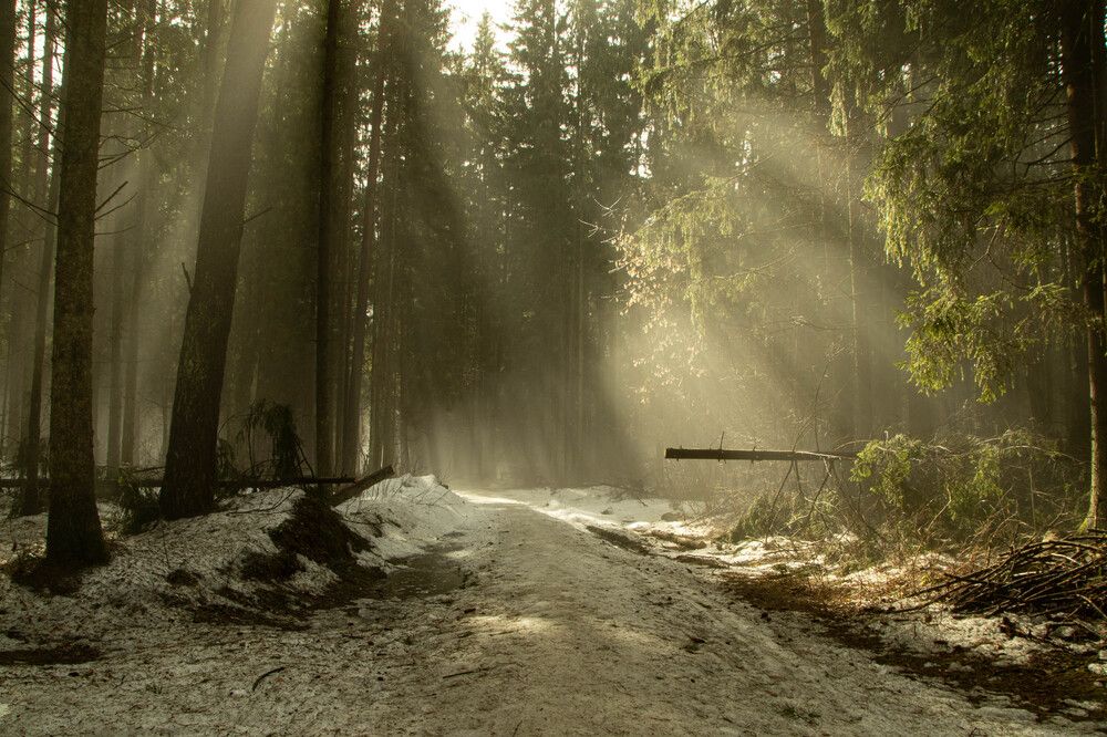 Фотография автора Екатерина Счасная