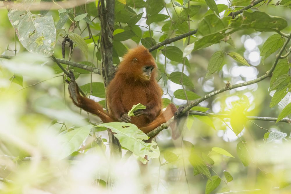 Photograph by Hymakar Valluri