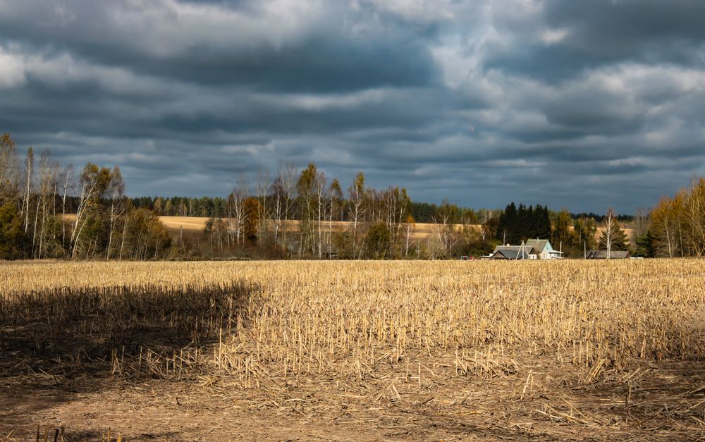 Photograph by Анна Янчилина