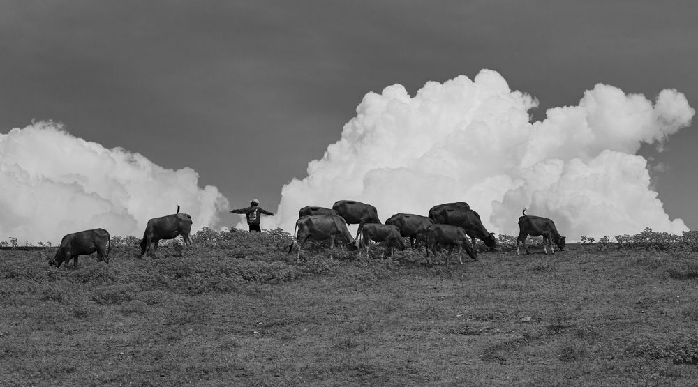 Photograph by Tran Thao