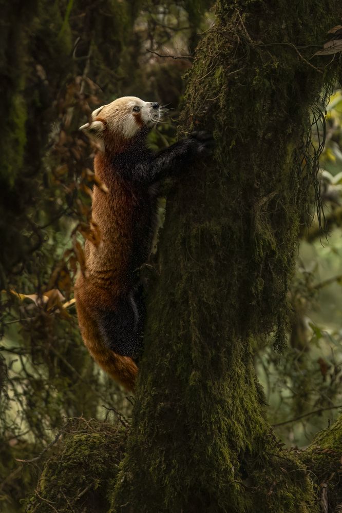 Photograph by Hymakar Valluri