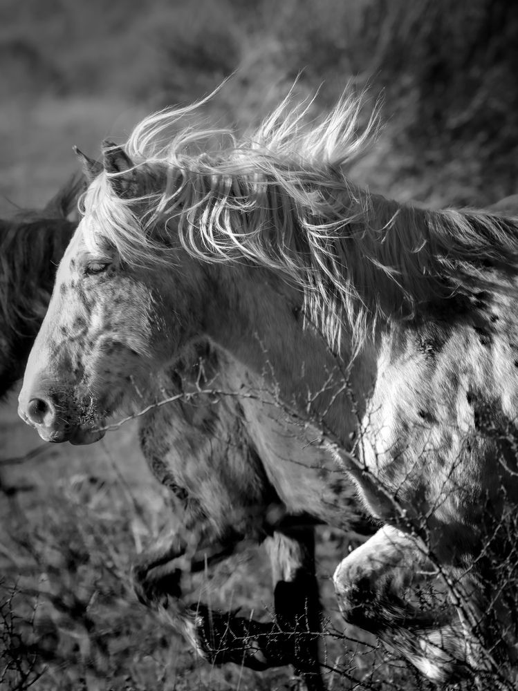 Photograph by Giuseppe Catalano