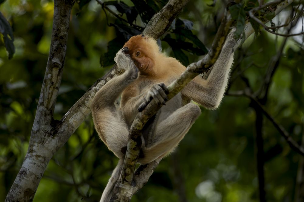 Photograph by Hymakar Valluri